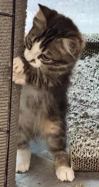 smudge-2.jpg