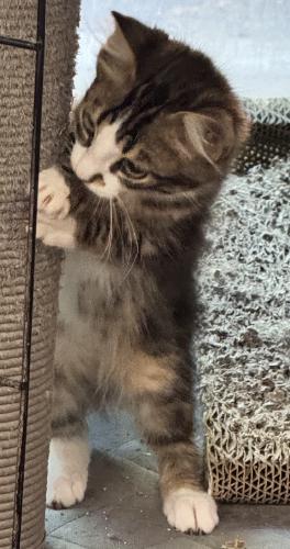 smudge-2.jpg