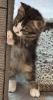 smudge-2.jpg
