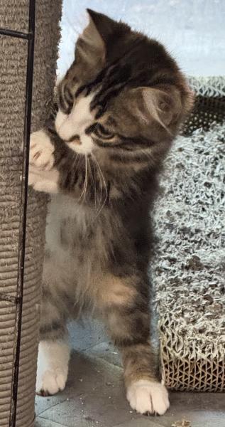 smudge-2.jpg