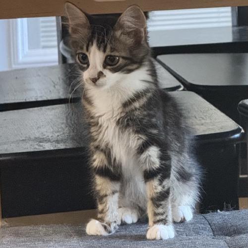 smudge-4.jpg