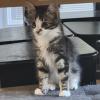 smudge-4.jpg