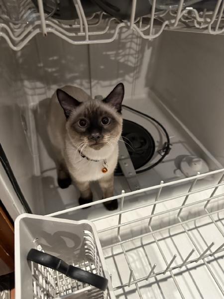 zuko-dishwasher.jpg